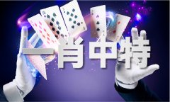 澳门的英文缩写_澳门的英文缩写V